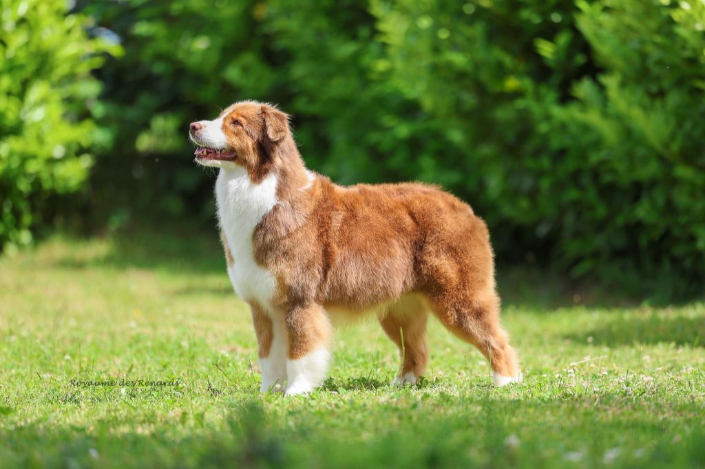 Information importante